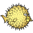 ssh